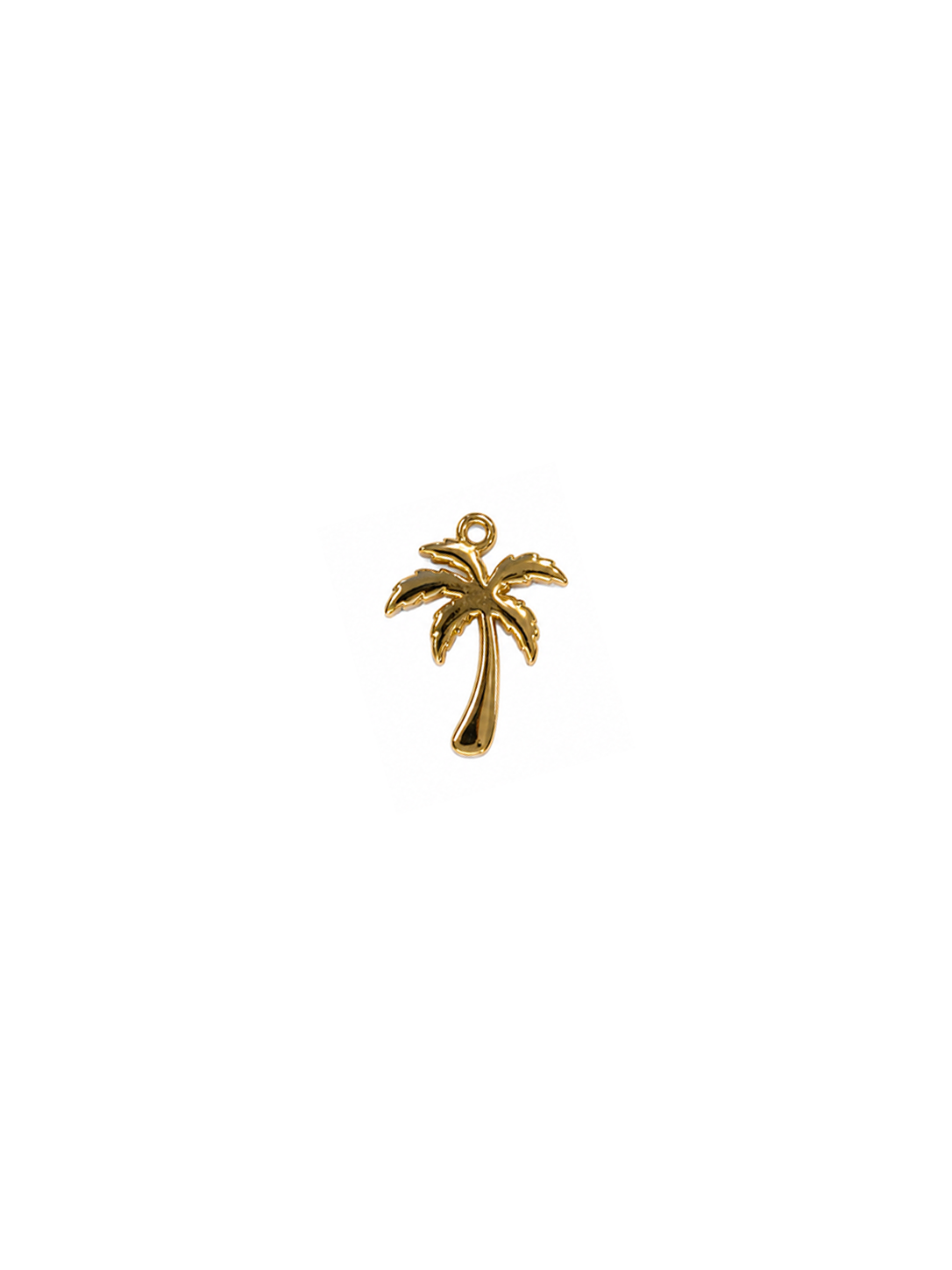 Charme Palmera